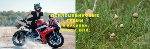 каннабис Лабытнанги